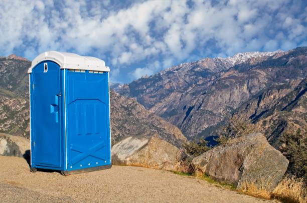 Best Affordable portable toilet rental  in Roseau, MN