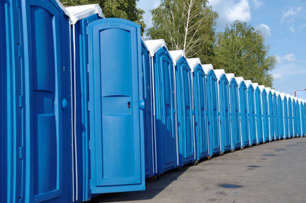 Best Affordable porta potty rental  in Roseau, MN